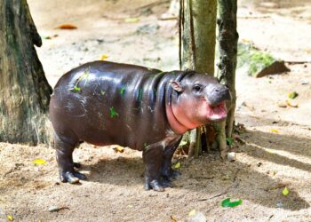 Good Samaritan Gifts Thousands in Christmas Cash