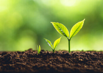 Drones joining the fight to save the rainforests