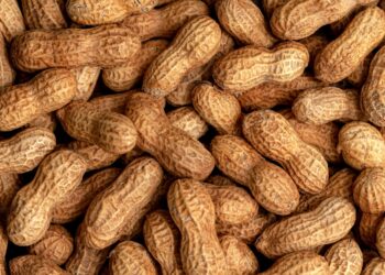Peanut allergy breakthrough in the UK