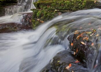 Lithuanian Adventurer’s Dramatic Tasmanian River Rescue