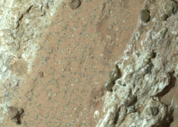 Mars’ ‘Leopard-Spot’ Rocks Might Offer Clues to Ancient Life