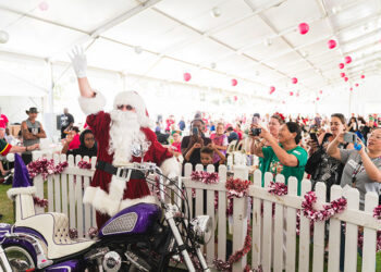 Mission Australia Welcomes Hundreds for 50th Annual Christmas Lunch in the Park