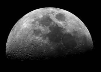 Scientists grow chickpeas in moon soil for the first time