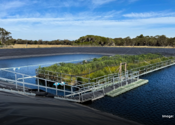 Floating wetlands reduce greenhouse gas emissions by nearly 40 percent