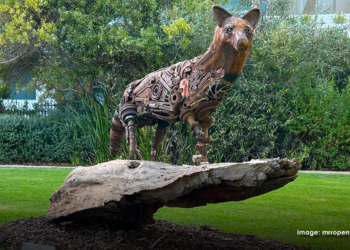 Teen sculptor making waves on national stage